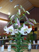 Foto: Dr. Peter Müller